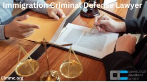 Immigration Criminal Defense Lawyer